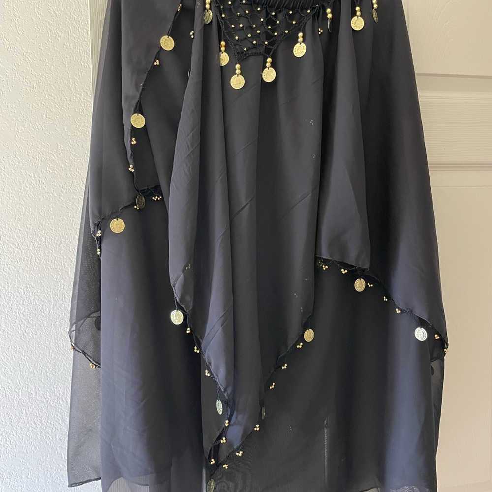 Black Belly Dance Skirt Coin Trim Chiffon Gothic Festival One Size